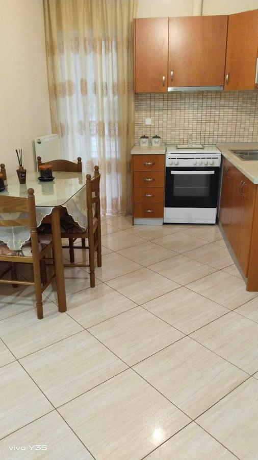 Appartamento Ομορφο Διαμερισμα Στο Κεντρο Της Πολης Με Παρκιν Tríkala Esterno foto